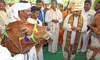 Gokulashtami Go Puja: టీటీడీ గోశాలలో వైభవంగా గోకులాష్టమి గోపూజ Gokulashtami Go Puja: టీటీడీ గోశాలలో వైభవంగా గోకులాష్టమి గోపూజ