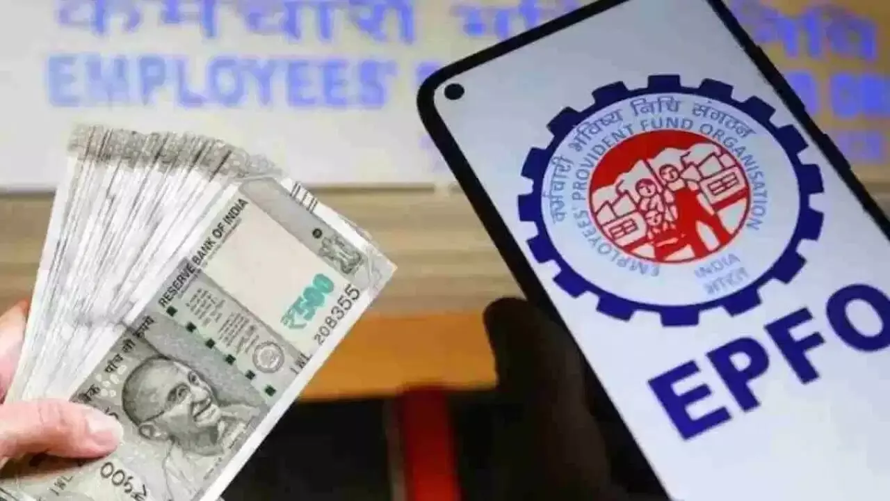 EPFO: కోర్టుల చుట్టూ తిరగాల్సిన పనిలేదు.. ఈపీఎఫ్ఓ విశ్వాస్ 2026 ఆఫర్ ఫుల్ డీటైల్స్ ఇవే EPFO: కోర్టుల చుట్టూ తిరగాల్సిన పనిలేదు.. ఈపీఎఫ్ఓ విశ్వాస్ 2026 ఆఫర్ ఫుల్ డీటైల్స్ ఇవే