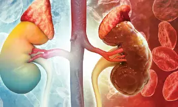 Painkillers Damaging Your Kidneys: నొప్పి తగ్గించే మాత్రలే కిడ్నీలను మింగేస్తున్నాయా? ఈ నిజం తెలుసుకోవాల్సిందే..