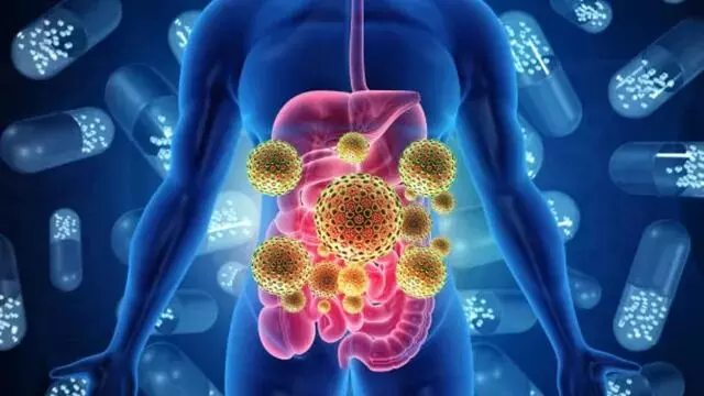 Stomach Infections: వర్షాకాలంలో కడుపు ఇన్ఫెక్షన్ల ముప్పు.. ఈ జాగ్రత్తలు పాటించకపోతే ఆస్పత్రి పాలు కాక తప్పదు Stomach Infections: వర్షాకాలంలో కడుపు ఇన్ఫెక్షన్ల ముప్పు.. ఈ జాగ్రత్తలు పాటించకపోతే ఆస్పత్రి పాలు కాక తప్పదు