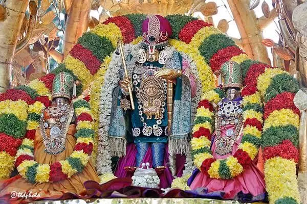Worship Idols: విగ్రహారాధన ఎందుకు చేయాలి? మన పూర్వీకులు నేర్పిన రహస్యం తెలిస్తే ఆశ్చర్యపోతారు.. Worship Idols: విగ్రహారాధన ఎందుకు చేయాలి? మన పూర్వీకులు నేర్పిన రహస్యం తెలిస్తే ఆశ్చర్యపోతారు..