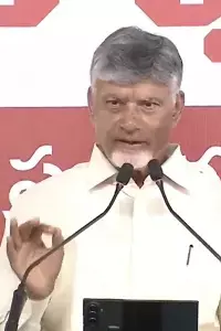 CM Chandrababu: వచ్చే మార్చి నాటికి రాష్ట్రంలోని పెండింగ్ భూసమస్యలన్నీ పరిష్కరిస్తాం: సీఎం చంద్రబాబు