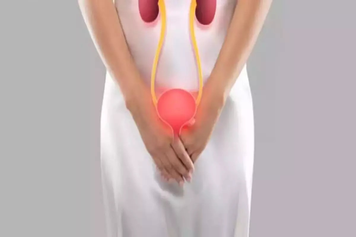 Burning or Pain While Urinating in Women: మహిళల్లో మూత్రవిసర్జన సమయంలో మంట, నొప్పి వేధిస్తున్నాయా? నిపుణులు ఏమంటున్నారంటే Burning or Pain While Urinating in Women: మహిళల్లో మూత్రవిసర్జన సమయంలో మంట, నొప్పి వేధిస్తున్నాయా? నిపుణులు ఏమంటున్నారంటే