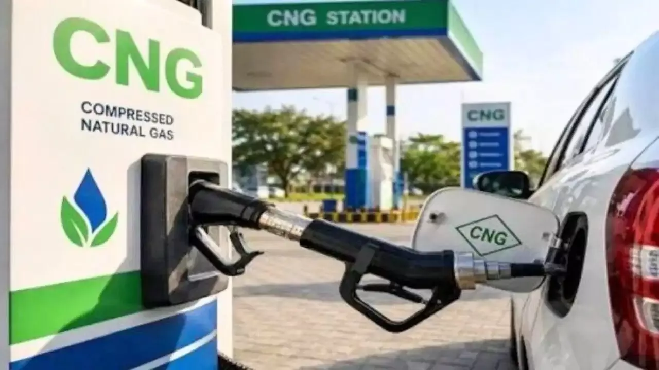 CNG Car: సీఎన్జీ కార్ వాడుతున్నారా? ఈ ఒక్క టెస్ట్ చేయించకపోతే ప్రాణాలకే ప్రమాదం CNG Car: సీఎన్జీ కార్ వాడుతున్నారా? ఈ ఒక్క టెస్ట్ చేయించకపోతే ప్రాణాలకే ప్రమాదం