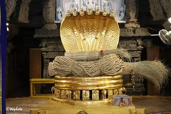 Srivari Brahmotsavams: శ్రీవారి బ్రహ్మోత్సవాల దర్భ చాప, తాడు ఊరేగింపు Srivari Brahmotsavams: శ్రీవారి బ్రహ్మోత్సవాల దర్భ చాప, తాడు ఊరేగింపు