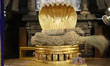 Srivari Brahmotsavams:  శ్రీవారి బ్రహ్మోత్సవాల దర్భ చాప, తాడు ఊరేగింపు