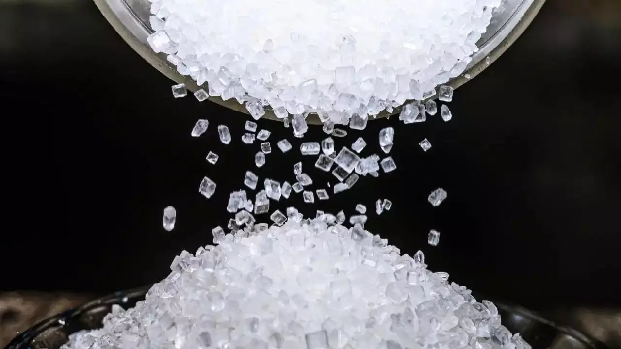 Sugar Price: పండుగలకు ముందు ఊరట.. వరుసగా నాలుగో రోజు తగ్గిన పంచదార ధరలు Sugar Price: పండుగలకు ముందు ఊరట.. వరుసగా నాలుగో రోజు తగ్గిన పంచదార ధరలు