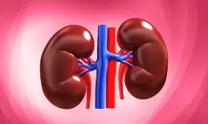 Kidneys: మీ ఈ 5 అలవాట్లు కిడ్నీలను దెబ్బతీస్తాయి జాగ్రత్త.. Kidneys: మీ ఈ 5 అలవాట్లు కిడ్నీలను దెబ్బతీస్తాయి జాగ్రత్త..
