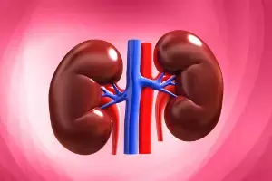 Kidneys: మీ ఈ 5 అలవాట్లు కిడ్నీలను దెబ్బతీస్తాయి జాగ్రత్త.. Kidneys: మీ ఈ 5 అలవాట్లు కిడ్నీలను దెబ్బతీస్తాయి జాగ్రత్త..