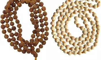 Wear Tulsi Mala and Rudraksha Together: తులసి మాల, రుద్రాక్షలను కలిపి ధరించవచ్చా? ధర్మశాస్త్రాలు ఏం చెబుతున్నాయి.. Wear Tulsi Mala and Rudraksha Together: తులసి మాల, రుద్రాక్షలను కలిపి ధరించవచ్చా? ధర్మశాస్త్రాలు ఏం చెబుతున్నాయి..