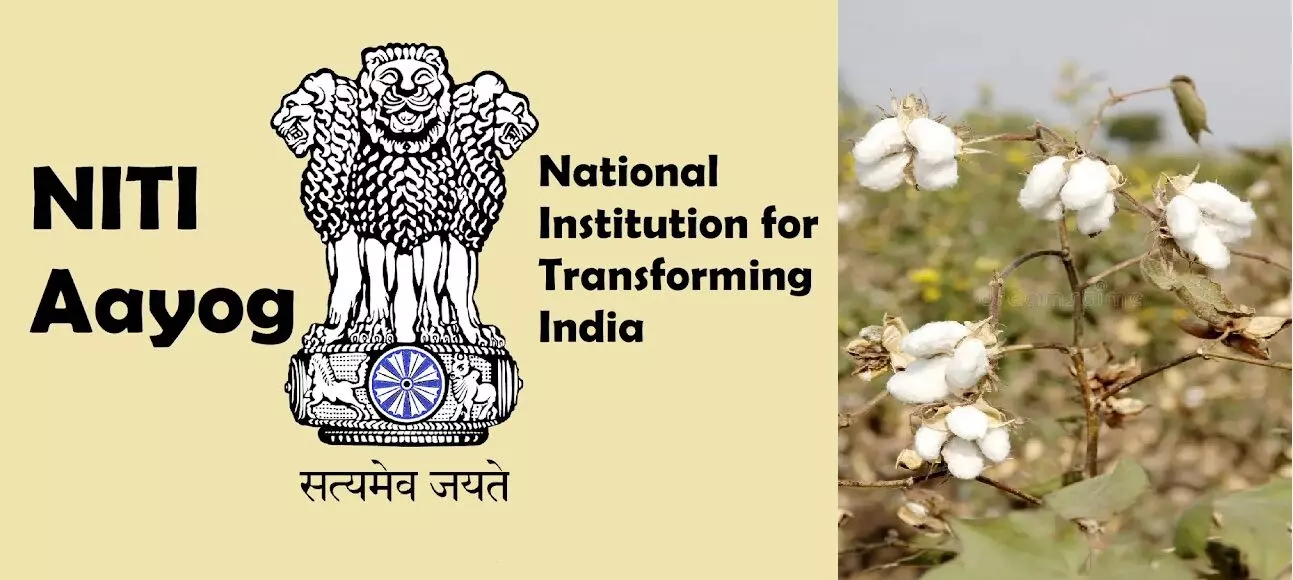 NITIAayog: పత్తి ఉత్పత్తికి భారీ ఉత్సాహం అవసరం.. నీతి ఆయోగ్ సూచనలు NITIAayog: పత్తి ఉత్పత్తికి భారీ ఉత్సాహం అవసరం.. నీతి ఆయోగ్ సూచనలు
