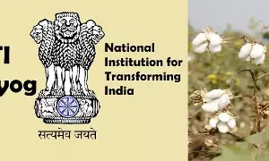 NITIAayog: పత్తి ఉత్పత్తికి భారీ ఉత్సాహం అవసరం.. నీతి ఆయోగ్ సూచనలు NITIAayog: పత్తి ఉత్పత్తికి భారీ ఉత్సాహం అవసరం.. నీతి ఆయోగ్ సూచనలు