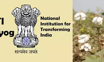 NITIAayog:  పత్తి ఉత్పత్తికి భారీ ఉత్సాహం అవసరం.. నీతి ఆయోగ్‌ సూచనలు
