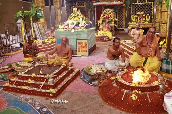 Sri Padmavathi Ammavari Pavitrotsavams: వైభవంగా శ్రీ పద్మావతి అమ్మవారి ఆలయంలో పవిత్రోత్సవాలు ప్రారంభం Sri Padmavathi Ammavari Pavitrotsavams: వైభవంగా శ్రీ పద్మావతి అమ్మవారి ఆలయంలో పవిత్రోత్సవాలు ప్రారంభం