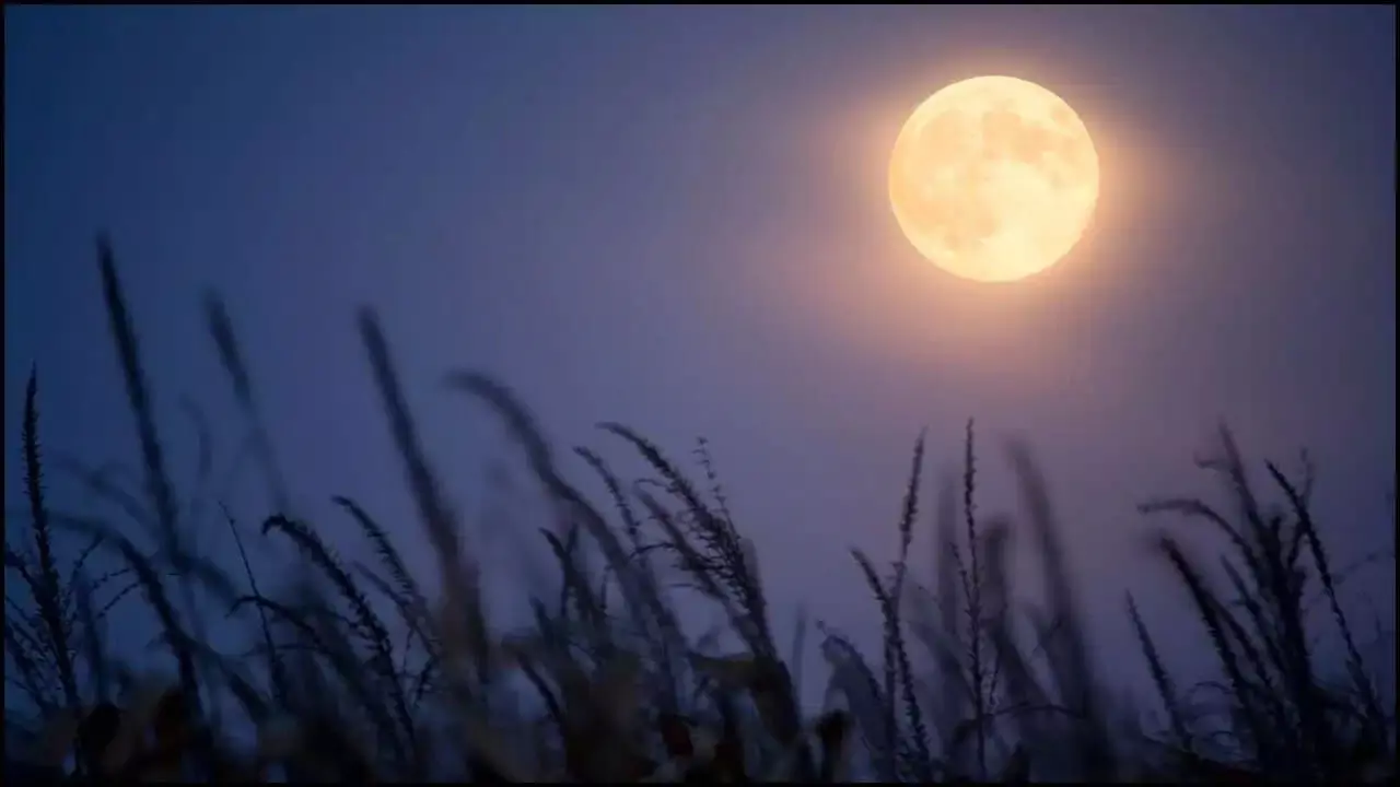 Golden Harvest Moon: ఆకాశంలో అద్భుతం.. నేడు దర్శనమివ్వనున్న బంగారు వర్ణ హార్వెస్ట్ మూన్. దీని ప్రత్యేకతలేంటి? Golden Harvest Moon: ఆకాశంలో అద్భుతం.. నేడు దర్శనమివ్వనున్న బంగారు వర్ణ హార్వెస్ట్ మూన్. దీని ప్రత్యేకతలేంటి?
