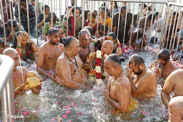 Sri Padmavathi Ammavari Pavitrotsavams: పూర్ణాహుతితో వైభవంగా ముగిసిన శ్రీ పద్మావతి అమ్మవారి పవిత్రోత్సవాలు Sri Padmavathi Ammavari Pavitrotsavams: పూర్ణాహుతితో వైభవంగా ముగిసిన శ్రీ పద్మావతి అమ్మవారి పవిత్రోత్సవాలు