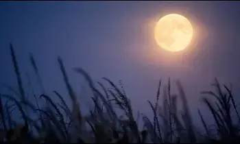 Golden Harvest Moon: ఆకాశంలో అద్భుతం.. నేడు దర్శనమివ్వనున్న బంగారు వర్ణ హార్వెస్ట్ మూన్. దీని ప్రత్యేకతలేంటి?