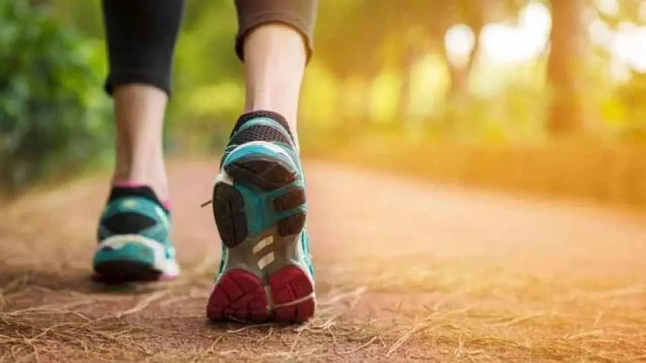 Daily Walking: రోజూ నడకతో ఆరోగ్యానికి ఎన్నో ప్రయోజనాలు Daily Walking: రోజూ నడకతో ఆరోగ్యానికి ఎన్నో ప్రయోజనాలు