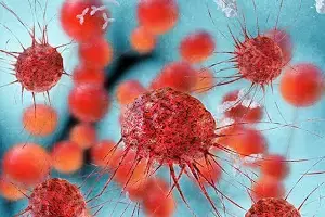 Don’t Ignore Infections: ఇన్ఫెక్షన్లను తేలిగ్గా తీసుకోకండి.. క్యాన్సర్కు దారితీయొచ్చు.. అధ్యయనంలో సంచలన విషయాలు.. Don’t Ignore Infections: ఇన్ఫెక్షన్లను తేలిగ్గా తీసుకోకండి.. క్యాన్సర్కు దారితీయొచ్చు.. అధ్యయనంలో సంచలన విషయాలు..