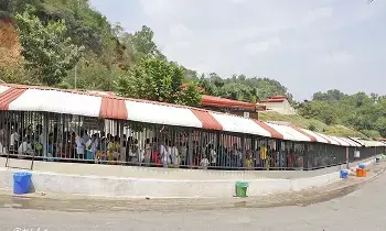 Tirumala: తిరుమ‌ల‌లో కొన‌సాగుతున్న భ‌క్తుల ర‌ద్దీ