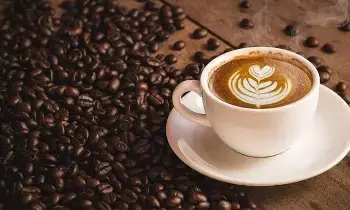 When You Drink Coffee in the Morning: ఉదయాన్నే కాఫీ తాగితే కాలేయానికి ఏం జరుగుతుంది..? డాక్టర్ల షాకింగ్ నిజాలు When You Drink Coffee in the Morning: ఉదయాన్నే కాఫీ తాగితే కాలేయానికి ఏం జరుగుతుంది..? డాక్టర్ల షాకింగ్ నిజాలు