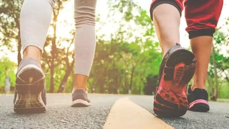 Better Blood Sugar Control: షుగర్ కంట్రోల్ కావాలంటే రోజుకు ఎంతసేపు నడవాలి? నిపుణులు సూచిస్తున్న సరైన పద్ధతి ఇదే.. Better Blood Sugar Control: షుగర్ కంట్రోల్ కావాలంటే రోజుకు ఎంతసేపు నడవాలి? నిపుణులు సూచిస్తున్న సరైన పద్ధతి ఇదే..