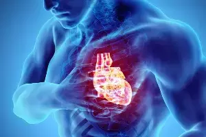 Heart Attack vs Cardiac Arrest: హార్ట్ ఎటాక్ vs కార్డియాక్ అరెస్ట్: రెండూ ఒకటేనా? లక్షణాలు, తేడాలు ఇవే.. Heart Attack vs Cardiac Arrest: హార్ట్ ఎటాక్ vs కార్డియాక్ అరెస్ట్: రెండూ ఒకటేనా? లక్షణాలు, తేడాలు ఇవే..