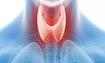 Thyroid Disorders: నిశబ్దంగా ముంచెత్తే థైరాయిడ్ సమస్యలు.. నిర్లక్ష్యం చేస్తే ప్రాణాలకే ముప్పు..