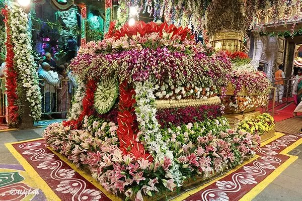 Navaratri Brahmotsavams: శ్రీవారి నవరాత్రి బ్రహ్మోత్సవాలకు శాస్త్రోక్తంగా అంకురార్పణ Navaratri Brahmotsavams: శ్రీవారి నవరాత్రి బ్రహ్మోత్సవాలకు శాస్త్రోక్తంగా అంకురార్పణ