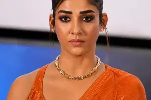 Nayanthara: నయనతార రాజకీయ రంగప్రవేశంపై క్లారిటీ.. పుకార్లపై తేల్చిచెప్పిన విఘ్నేశ్ శివన్..