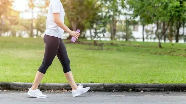 Walk Daily According to WHO Guidelines: పరిగెత్తడం కాదు..నడవండి.. WHO రూల్స్ ప్రకారం రోజుకు ఎంతసేపు నడవాలో తెలుసా? Walk Daily According to WHO Guidelines: పరిగెత్తడం కాదు..నడవండి.. WHO రూల్స్ ప్రకారం రోజుకు ఎంతసేపు నడవాలో తెలుసా?