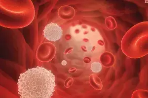 Low Platelet Count: ప్లేట్లెట్లు పడిపోయాయా? వారం రోజుల్లో పెంచే సహజ ఆహారాలివే.. Low Platelet Count: ప్లేట్లెట్లు పడిపోయాయా? వారం రోజుల్లో పెంచే సహజ ఆహారాలివే..