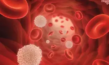 Low Platelet Count: ప్లేట్‌లెట్లు పడిపోయాయా? వారం రోజుల్లో పెంచే సహజ ఆహారాలివే..