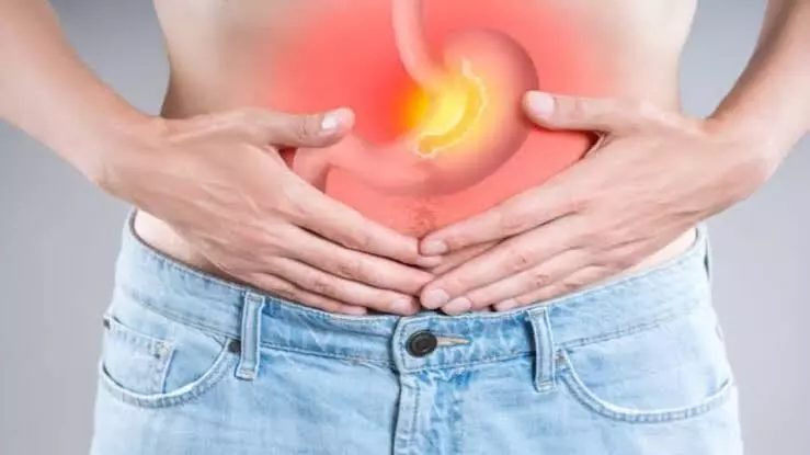 Suffering From Acidity and Stomach Burning: కడుపులో మంట, ఎసిడిటీతో ఇబ్బంది పడుతున్నారా? జీర్ణక్రియ మెరుగుపడటానికి ఈ చిట్కాలు పాటించండి.. Suffering From Acidity and Stomach Burning: కడుపులో మంట, ఎసిడిటీతో ఇబ్బంది పడుతున్నారా? జీర్ణక్రియ మెరుగుపడటానికి ఈ చిట్కాలు పాటించండి..