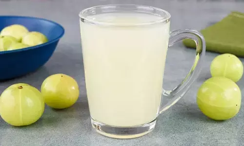 Amla Juice: ఉసిరి రసం అమృతమే.. కానీ డయాబెటిస్ ఉన్నవారు తాగొచ్చా? అసలు నిజాలు ఇవే.. Amla Juice: ఉసిరి రసం అమృతమే.. కానీ డయాబెటిస్ ఉన్నవారు తాగొచ్చా? అసలు నిజాలు ఇవే..