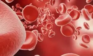 Feeling Weak and Tired Due to Anemia: రక్తహీనతతో నీరసం, అలసటా..? కిచెన్లో దొరికే ఈ కూరగాయలతో హిమోగ్లోబిన్కు బూస్ట్.. Feeling Weak and Tired Due to Anemia: రక్తహీనతతో నీరసం, అలసటా..? కిచెన్లో దొరికే ఈ కూరగాయలతో హిమోగ్లోబిన్కు బూస్ట్..