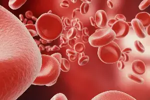 Feeling Weak and Tired Due to Anemia: రక్తహీనతతో నీరసం, అలసటా..? కిచెన్‌లో దొరికే ఈ కూరగాయలతో హిమోగ్లోబిన్‌కు బూస్ట్..
