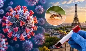 Shamon-da Virus: మానవుల్లో తొలిసారి షమోండా వైరస్ కలకలం.. ఫ్రాన్స్లో మొదటి కేసు నమోదు, అసలు ఏంటీ వైరస్? Shamon-da Virus: మానవుల్లో తొలిసారి షమోండా వైరస్ కలకలం.. ఫ్రాన్స్లో మొదటి కేసు నమోదు, అసలు ఏంటీ వైరస్?