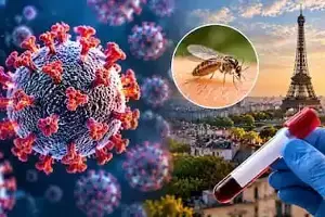 Shamon-da Virus: మానవుల్లో తొలిసారి షమోండా వైరస్ కలకలం.. ఫ్రాన్స్లో మొదటి కేసు నమోదు, అసలు ఏంటీ వైరస్? Shamon-da Virus: మానవుల్లో తొలిసారి షమోండా వైరస్ కలకలం.. ఫ్రాన్స్లో మొదటి కేసు నమోదు, అసలు ఏంటీ వైరస్?