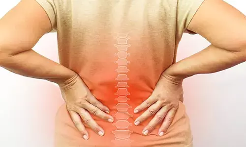 Seriously Harm Your Spine: రోజూ మీరు చేసే ఈ 3 తప్పులు వెన్నెముకకు తీవ్ర ముప్పు.. వెంటనే మార్చుకోకపోతే కష్టమే.. Seriously Harm Your Spine: రోజూ మీరు చేసే ఈ 3 తప్పులు వెన్నెముకకు తీవ్ర ముప్పు.. వెంటనే మార్చుకోకపోతే కష్టమే..