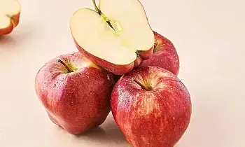Health Benefits of Eating an Apple Every Day: రోజూ ఒక ఆపిల్ తింటే కలిగే ఇన్ని ఆరోగ్య ప్రయోజనాలా?