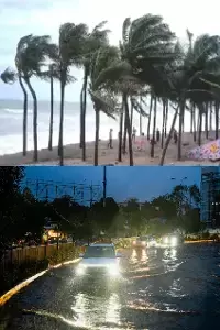 Cyclone Arnab: అర్నబ్ తుపాను ధాటికి గోదావరి జిల్లాలు అతలాకుతలం Cyclone Arnab: అర్నబ్ తుపాను ధాటికి గోదావరి జిల్లాలు అతలాకుతలం
