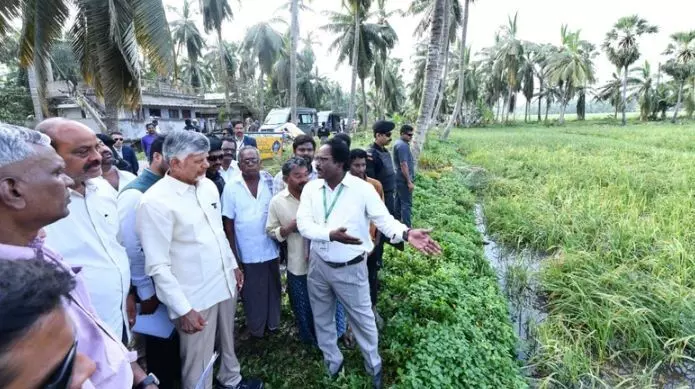 CM Chandrababu Naidu: అర్నబ్ తుపానుతో రూ.4,600 కోట్ల నష్టం.. సీఎం చంద్రబాబు క్షేత్రస్థాయి పరిశీలన CM Chandrababu Naidu: అర్నబ్ తుపానుతో రూ.4,600 కోట్ల నష్టం.. సీఎం చంద్రబాబు క్షేత్రస్థాయి పరిశీలన