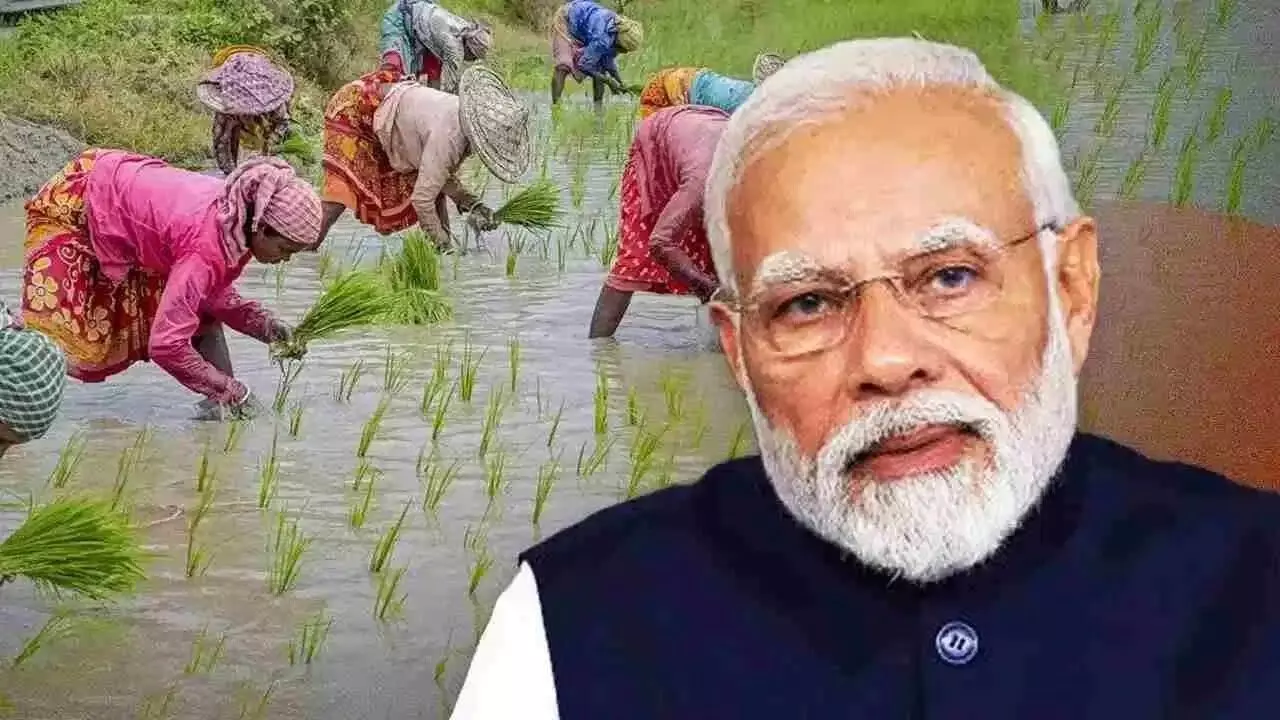 PM Kisan: పీఎం కిసాన్ డబ్బులు విడుదల.. 9.34 కోట్ల మంది రైతుల ఖాతాల్లో రూ.2,000 జమ PM Kisan: పీఎం కిసాన్ డబ్బులు విడుదల.. 9.34 కోట్ల మంది రైతుల ఖాతాల్లో రూ.2,000 జమ