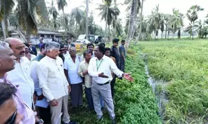 CM Chandrababu Naidu: అర్నబ్ తుపానుతో రూ.4,600 కోట్ల నష్టం.. సీఎం చంద్రబాబు క్షేత్రస్థాయి పరిశీలన CM Chandrababu Naidu: అర్నబ్ తుపానుతో రూ.4,600 కోట్ల నష్టం.. సీఎం చంద్రబాబు క్షేత్రస్థాయి పరిశీలన